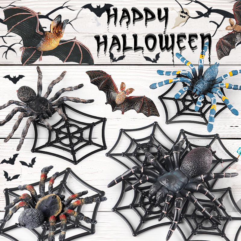 Photography Online - Oenux Insect Animals Model Spider Web