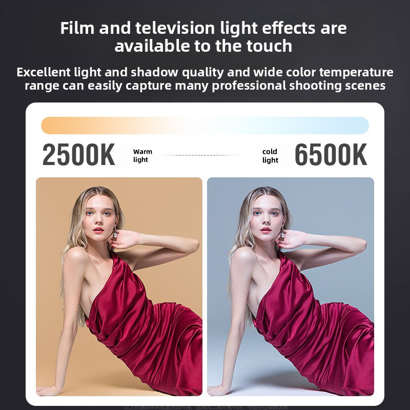 ZU80 High-Power COB Fill Light - Photography Year 评论和价格
