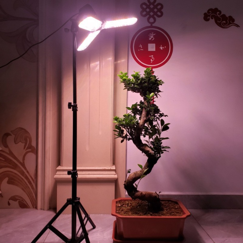 Light Bulb Stand 2M, E27 AC So - Photography Bulb 评论和价格