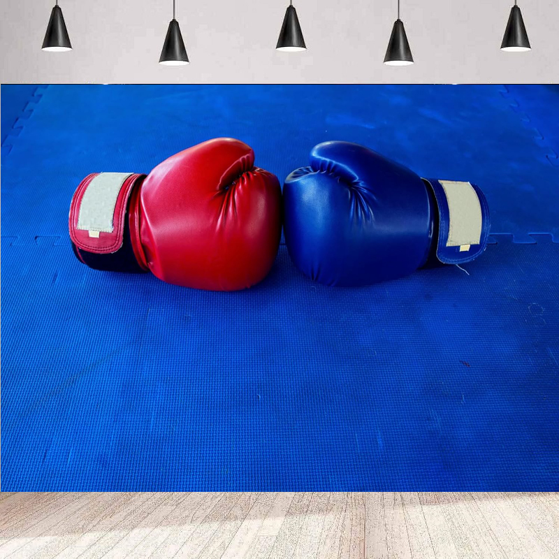 Boxing Gloves Photography Back - Photography Competition 评论和价格