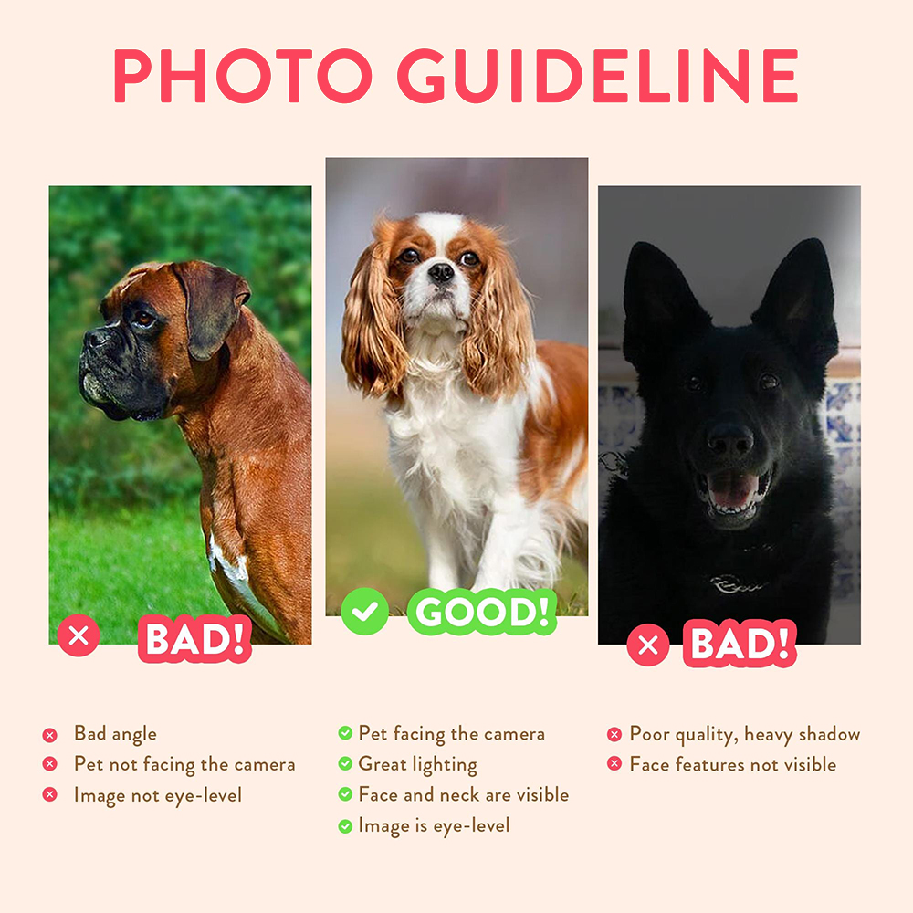 Personalized Pet Portraits Pho - Photographic Memory 评论和价格
