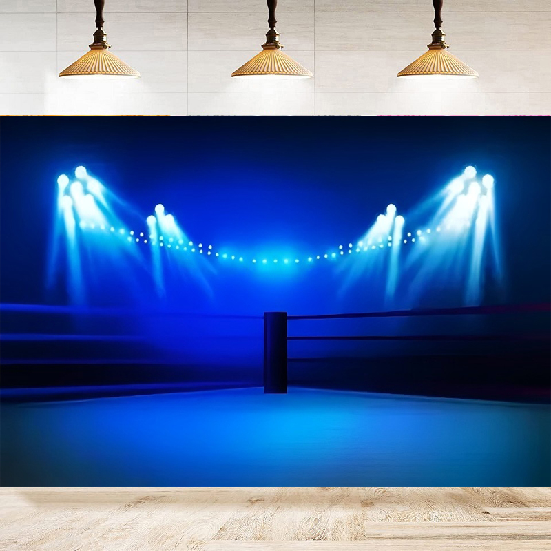 Photography Backdrop Boxing Ma - Photography Competition 评论和价格