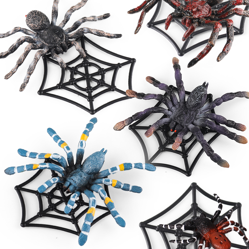 Oenux Insect Animals Model Spi - Photography Online 评论和价格