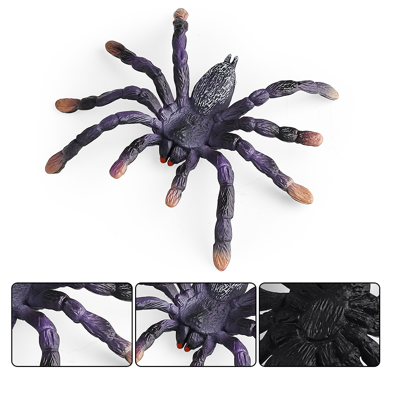 Oenux Insect Animals Model Spi - Photography Online 评论和价格