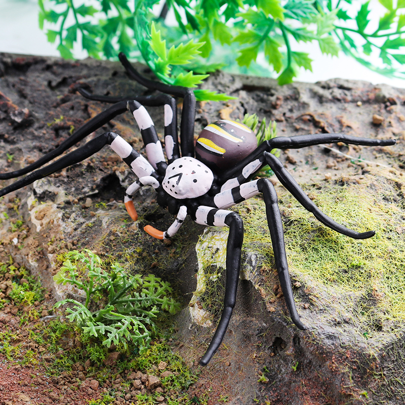 Oenux Insect Animals Model Spi - Photography Online 评论和价格