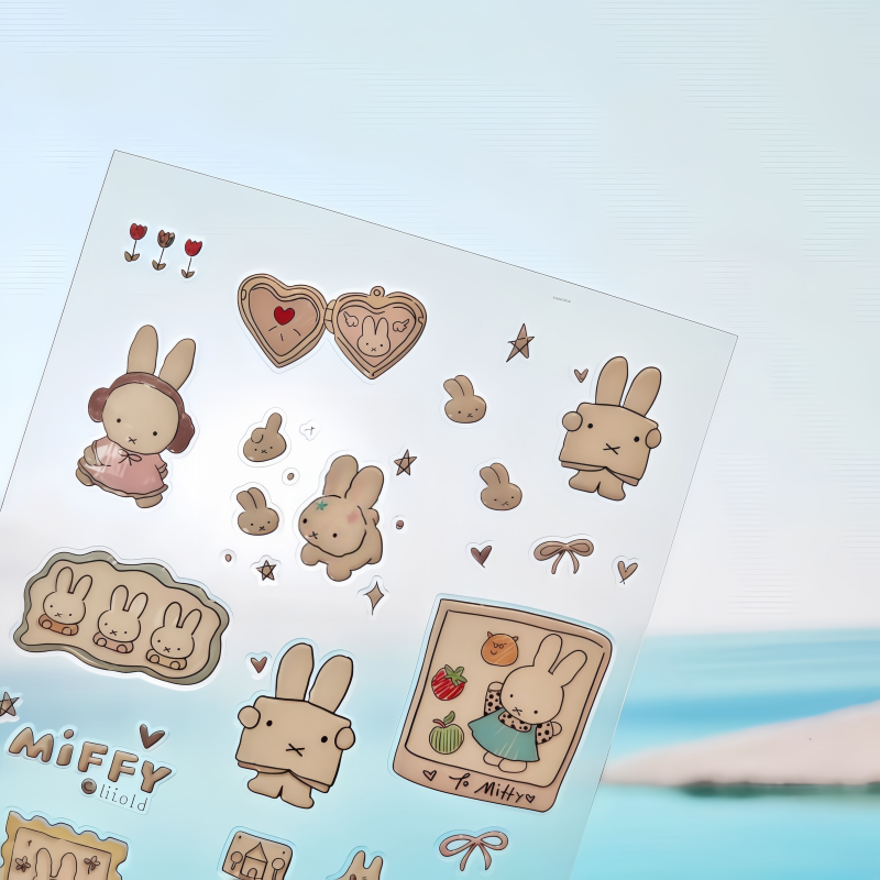 Decoration Kawaii Miffy 3D Rel - Photography Journalism 评论和价格
