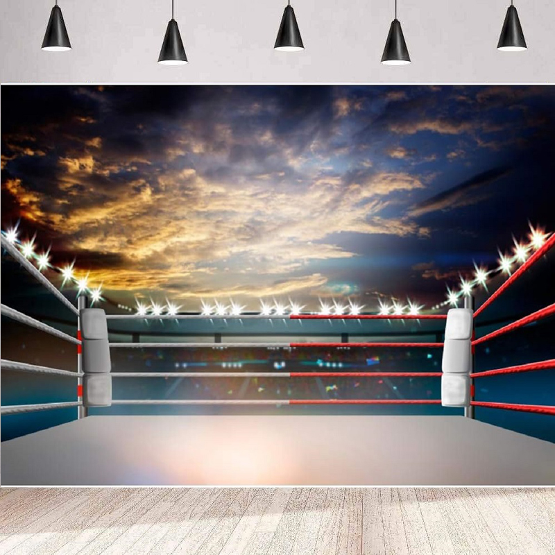 Lighting 3D Boxing Arena Photo - Photography Competition 评论和价格