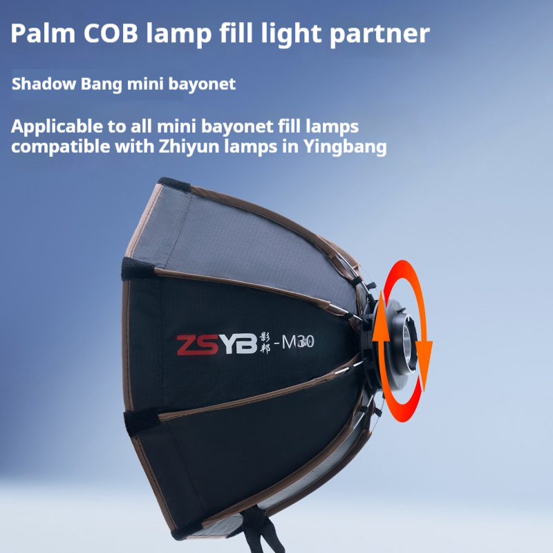 30cm Octagon Umbrella Softbox  - Photography Umbrella Light 评论和价格
