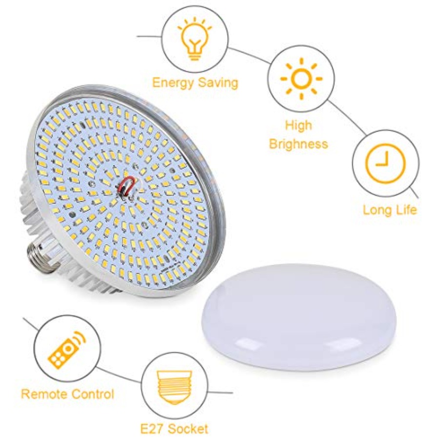 Continuous Lighting Kit for Ca - Photography Bulb 评论和价格